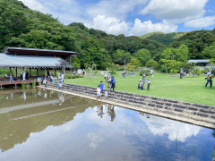 修景庭園で虫捕り