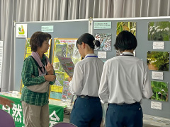 写真の解説その２