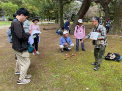 キノコの解説