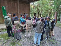 ムササビの食痕の解説