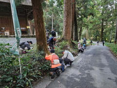 フィールドサインの捜索