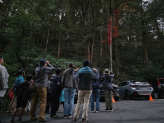 ムササビ出巣の観察