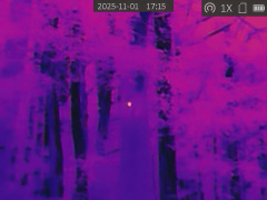 サーマルスコープで見た樹洞