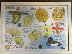 展示イラスト 季の色彩秋