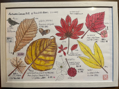 展示イラスト Autunum Leaves 第2章