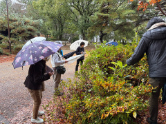 ツツジの中に色々な木が生えているのはなぜ？