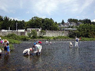 江島の豊川で川遊び Npo法人東三河自然観察会