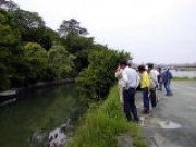 朝倉川定例自然観察会風景 朝倉川定例自然観察会風景