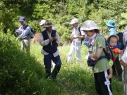 観察会への参加者さんのようす 観察会への参加者さんのようす