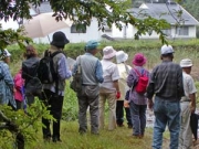 見納めの権現池のミズヒマワリを眺める 見納めの権現池のミズヒマワリを眺める