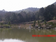 修景庭園の定点観測場所 修景庭園の定点観測場所