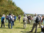 管理された草地の観察 管理された草地の観察