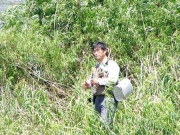 標本採集