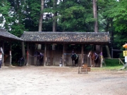 乗馬を待つ馬たち 乗馬を待つ馬たち