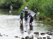 河畔の水辺で生きもの探し 河畔の水辺で生きもの探し