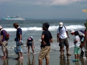砂浜での生きものとの出会い 砂浜での生きものとの出会い