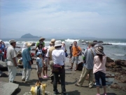 神島の見える磯で海草の説明 神島の見える磯で海草の説明