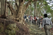 財賀寺の森林植生の解説