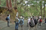 地形と地質の解説