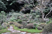 書院からの庭園