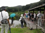 修景池の四阿で昆虫観察