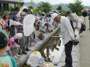 カナールで生き物探し