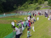 水田の周りで昆虫採取 水田の周りで昆虫採取