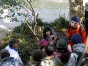 ヤブツバキとユキバタツバキの違い ヤブツバキとユキバタツバキの違い