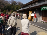 サクラの開花の解説 サクラの開花の解説