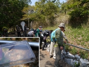 石積みで虫探し 石積みで虫探し