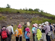 蛇紋岩は天然の柵 蛇紋岩は天然の柵