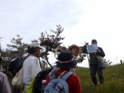 旗頭山古墳群の解説 旗頭山古墳群の解説