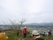 旗頭山から見られる地形の解説 旗頭山から見られる地形の解説