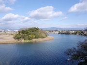 金色島 金色島