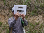 モグラの解説 モグラの解説