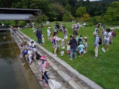 修景庭園で虫採り