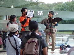 実物大オオコウモリのぬいぐるみで解説 実物大オオコウモリのぬいぐるみで解説