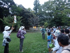 鳴く虫の解説 鳴く虫の解説