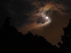 十五夜イブの月 十五夜イブの月