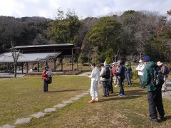 岩石の解説 岩石の解説