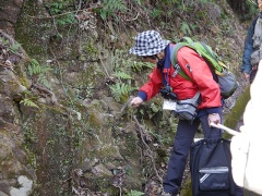 ロックハンマーで硬さを確認 ロックハンマーで硬さを確認