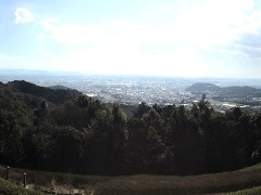展望ツツジ園からの眺望