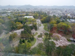 豊橋市役所13階からの豊橋公園