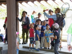 捕った虫の同定 捕った虫の同定