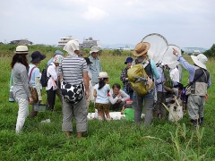 追い込み採取 追い込み採取