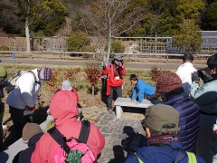 岩石の解説