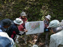地質の解説 地質の解説