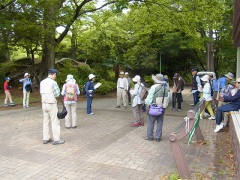 オープニング オープニング