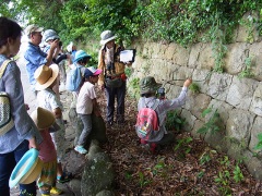 エンドスコープでカニを見よう