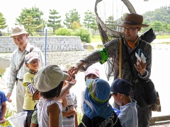 捕まえた昆虫の解説